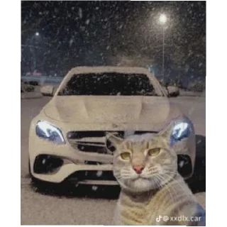 Sticker Impossible meme ඩා - 4