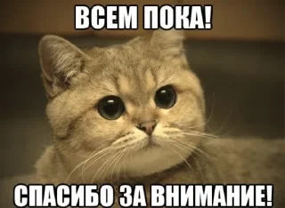 Стикер КуКаМаКа @TgEmodziBot - 4