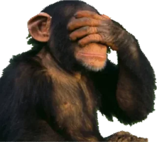 Стикер КуКаМаКа @TgEmodziBot - 3