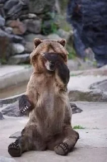 Стикер КуКаМаКа @TgEmodziBot - 6