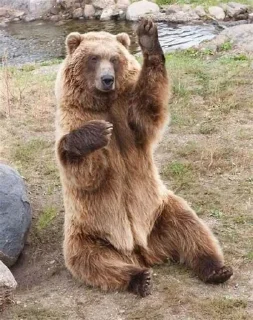 Стикер КуКаМаКа @TgEmodziBot - 8