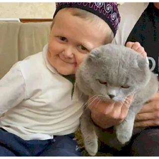 Sticker Indirka - 10