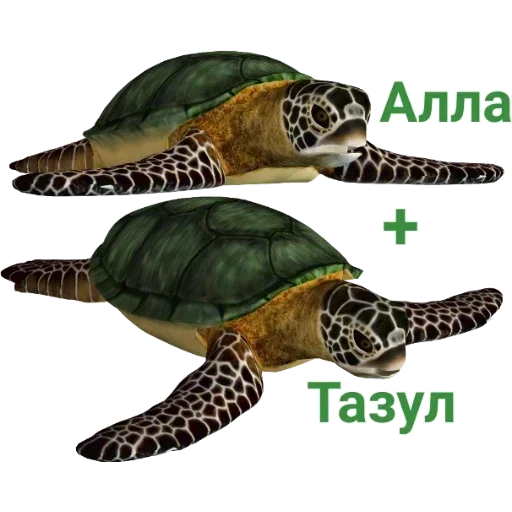 животное млекопитающее пресмыкающееся