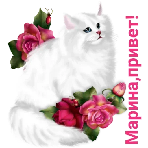 кошки малого и среднего размера кошачьи домашняя кошка