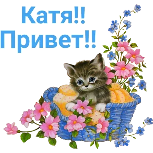 cat flower animal