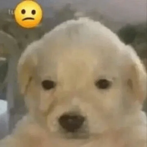 Sticker InigoPatch - 1