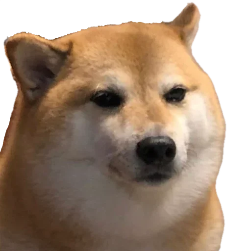 Sticker InigoPatch - 1