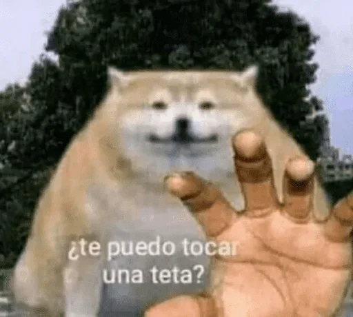 Sticker InigoPatch - 1