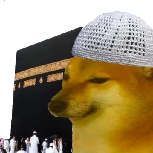 Sticker InigoPatch - 1