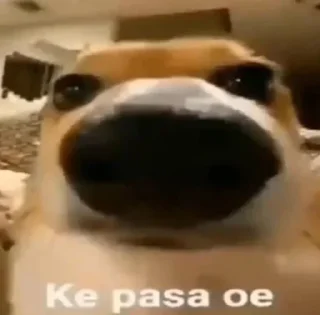 Sticker @InigoPVTCH Pack - 6