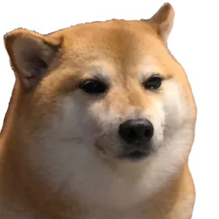 Sticker @InigoPVTCH Pack - 7