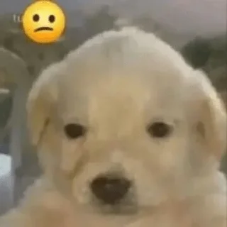 Sticker @InigoPVTCH Pack - 11