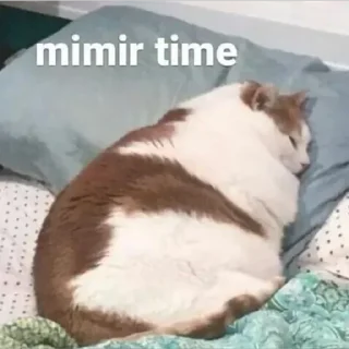 Sticker @InigoPVTCH Pack - 5