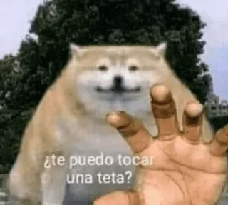 Sticker @InigoPVTCH Pack - 4