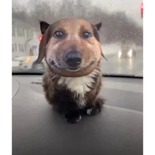 Sticker Всё в силе? | @m1khailbr_stickerbot - 11