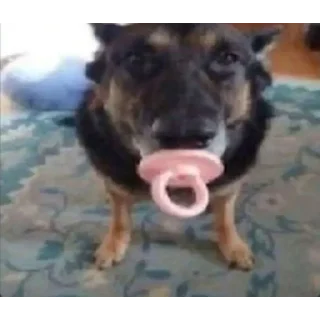 Sticker Всё в силе? | @m1khailbr_stickerbot - 6