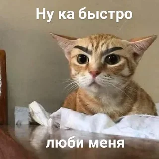 Sticker Эйфория и Боня - 5