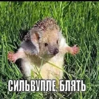 Sticker Эйфория и Боня - 1