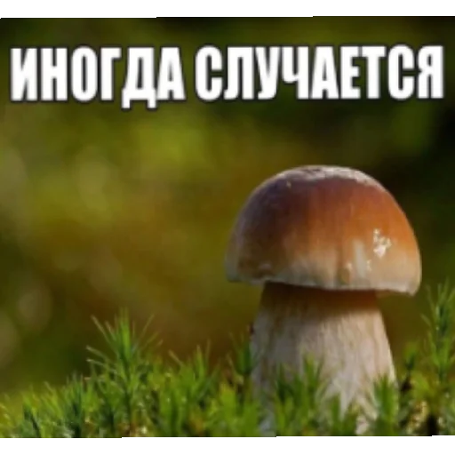 иногда случается - 