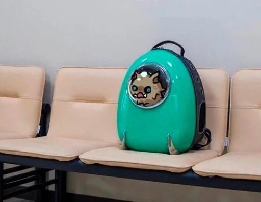 мебель стена комнатный