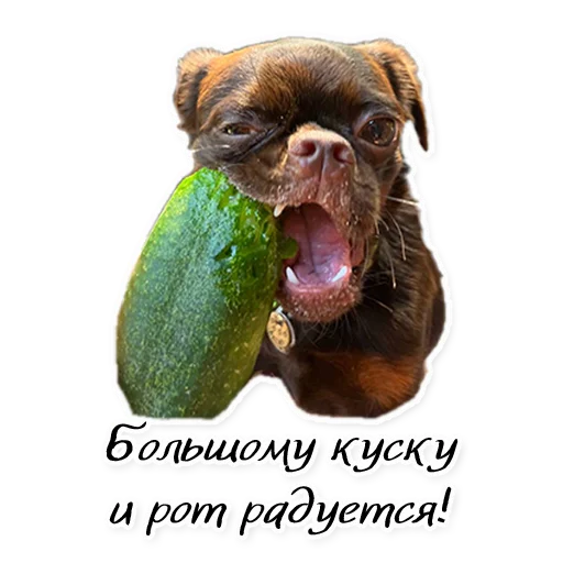 Sticker Instastaya - 1