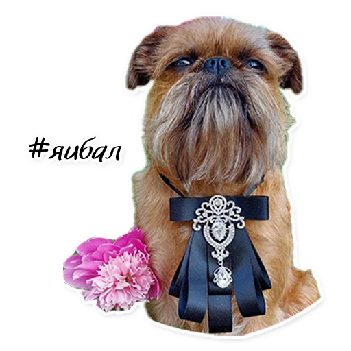 Sticker Instastaya - 1