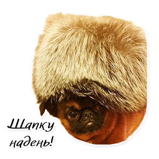 Sticker Instastaya - 1