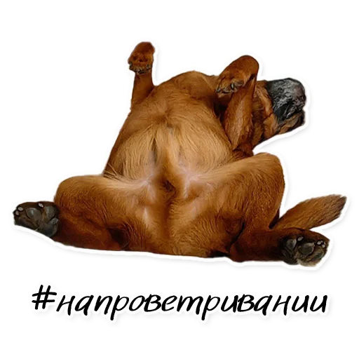 Стикер Instastaya - 1