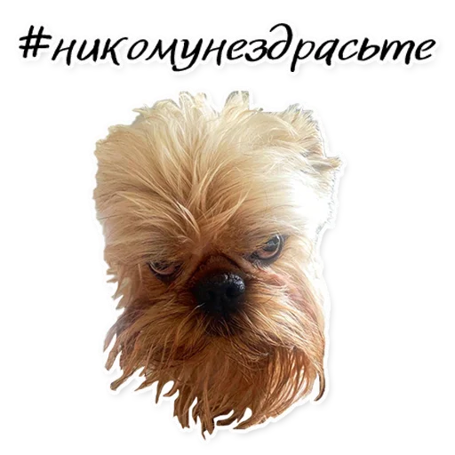 Стикер Instastaya - 1