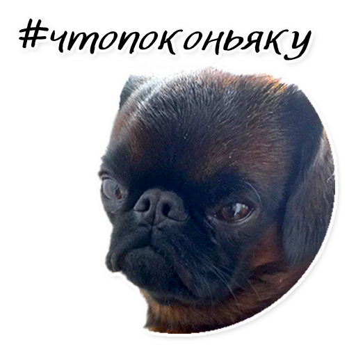 Стикер Instastaya - 1