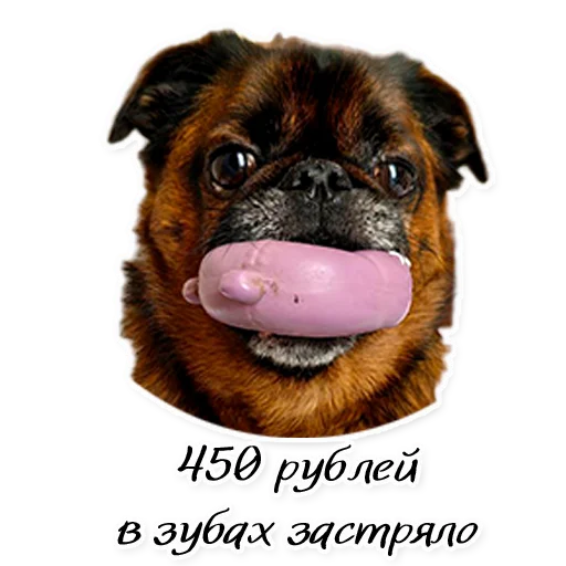 Sticker Instastaya - 1