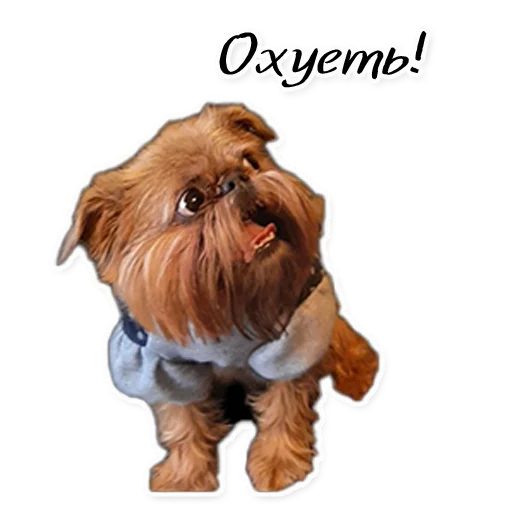 Sticker Instastaya - 1