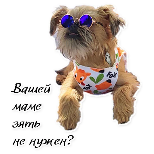 Sticker Instastaya - 1