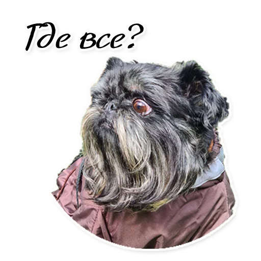 Стикер Instastaya - 1