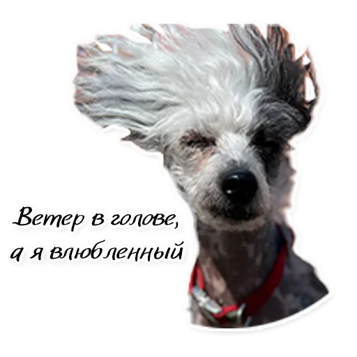 Sticker Instastaya - 1