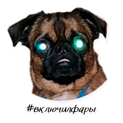 Sticker Instastaya - 1