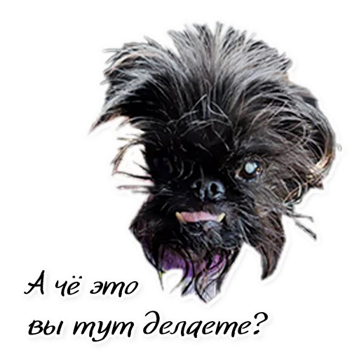 Sticker Instastaya - 1