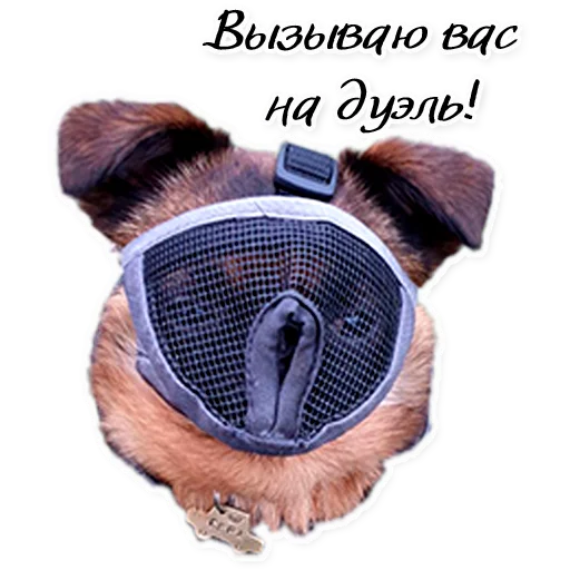 Sticker Instastaya - 1