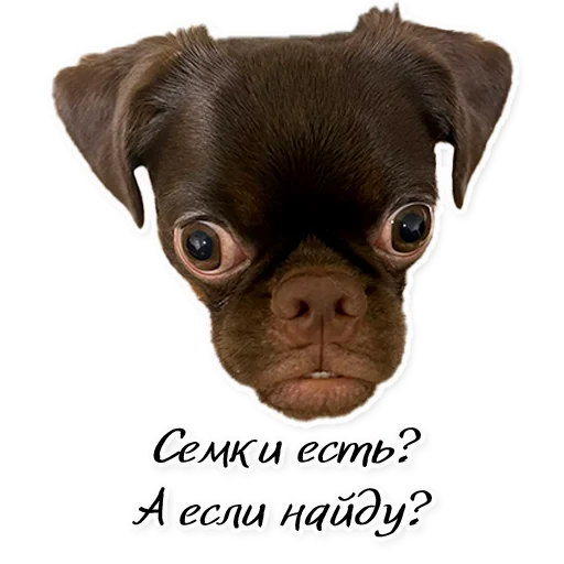 Sticker Instastaya - 1