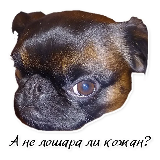 Стикер Instastaya - 1