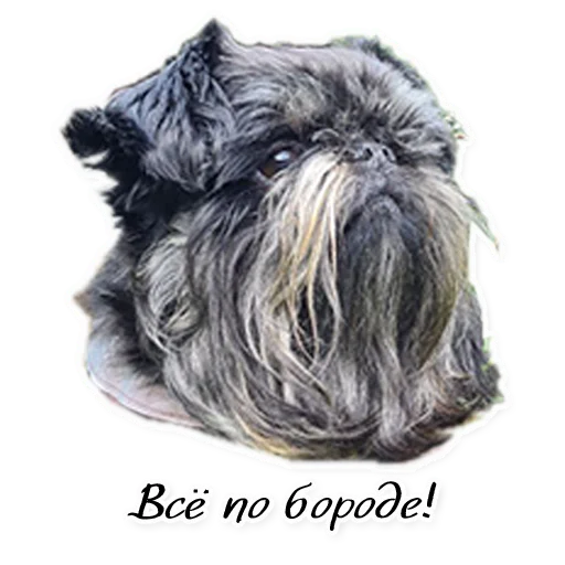 Sticker Instastaya - 1