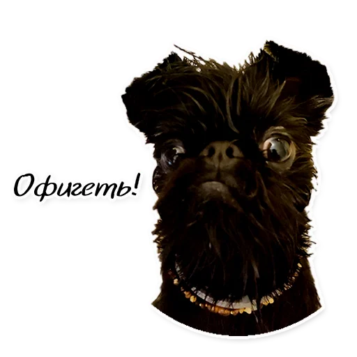 Sticker Instastaya - 1