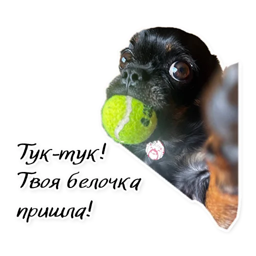 Стикер Instastaya - 1