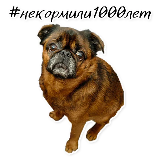 Sticker Instastaya - 1