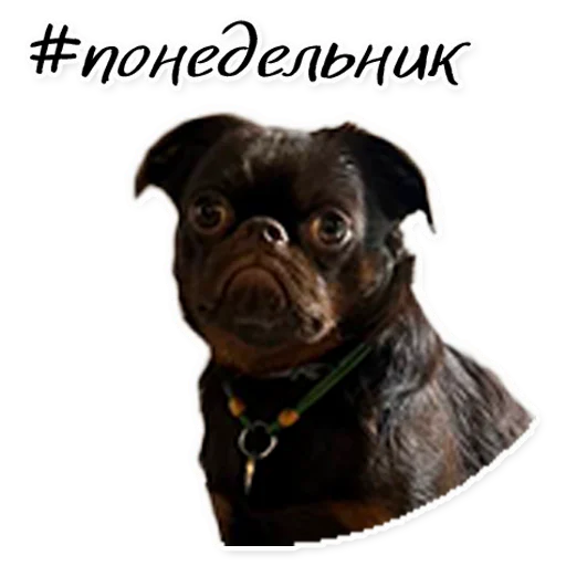 Sticker Instastaya - 1