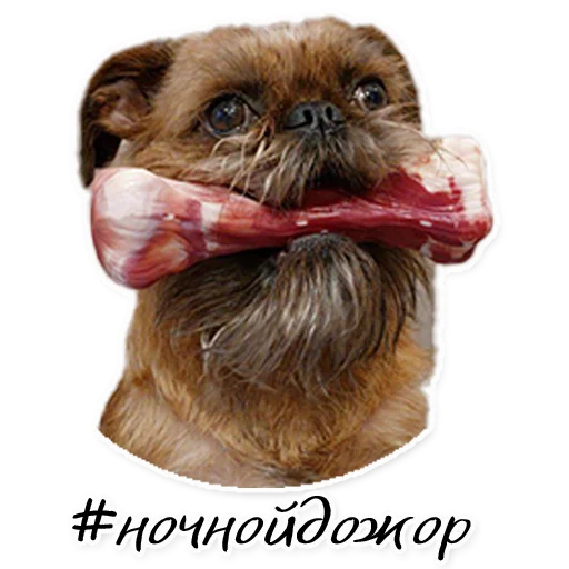 Sticker Instastaya - 1