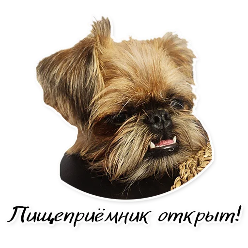 Sticker Instastaya - 1