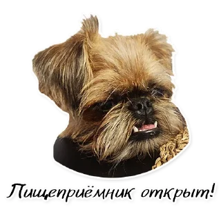 Стикер СТАЯ - 2