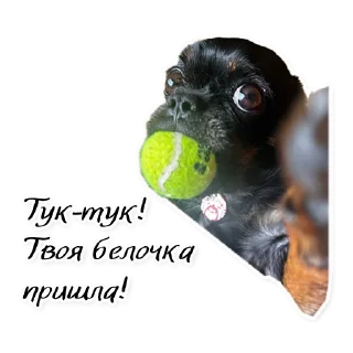 Стикер СТАЯ - 7