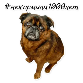 Стикер СТАЯ - 6